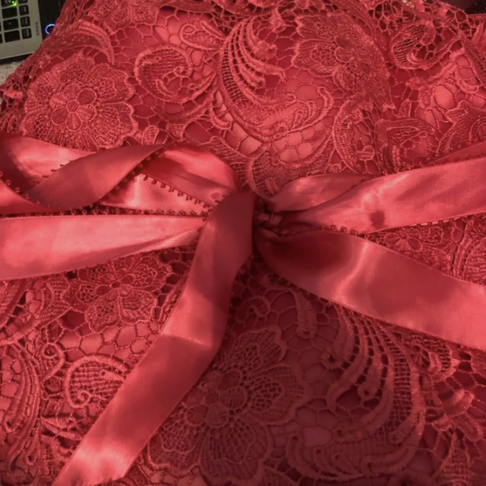 Adrianna Papell Rose Red Lace Illusion Party Dress XS - Picture 8 of 13